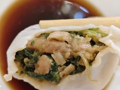 荠菜肉丁水饺-北方饺子王·海肠捞饭·海鲜锅(山大店)