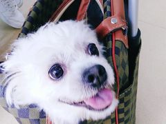 -荔康动物医院(康王北路店)