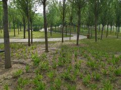 -东郊湿地公园