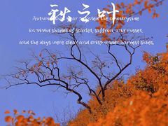 -周口店坡峰岭风景区