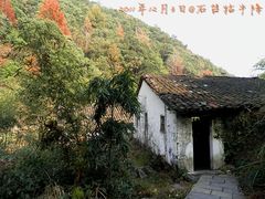 -祁门牯牛降观音堂风景区