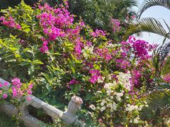 -三亚南山文化旅游区