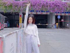 -深圳仙湖植物园-停车场