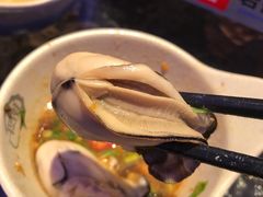 深海黄金蚝-千岛蚝高压锅生蚝·人参火锅(白云万达店)