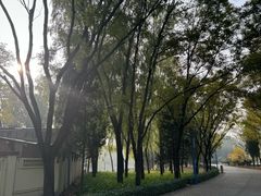 -森林公园(尖草坪区)