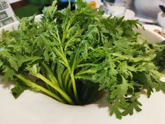 -烹然四季椰子鸡火锅(姚家园万象汇店)