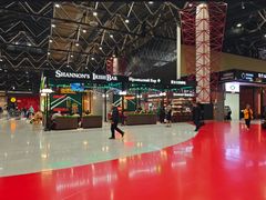 -谢列梅捷沃国际机场