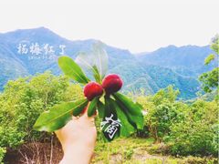 -楠溪江风景名胜区