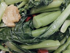 -金龙寨(龙城路店)