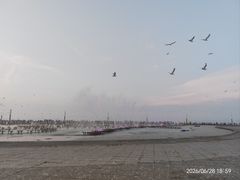 -东港音乐喷泉广场