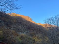 -关门山森林公园