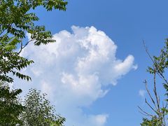 -野鸭湖国家湿地公园