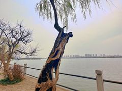 -无锡蠡湖国家湿地公园-蠡园