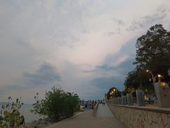 -深圳湾公园(南山区)