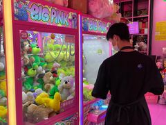 -BIG PINK大粉娃娃机主题馆(圆融星座店)