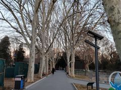 -黄村公园