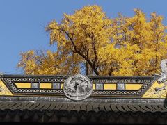-苏州上方山国家森林公园