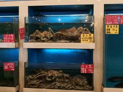 水产区-梦中园海鲜酒店(川沙路店)