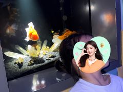 -重庆欢乐海底世界