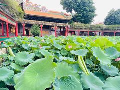 -宝墨园景区