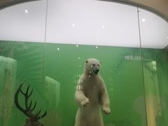 -国家自然博物馆