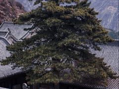 -雁门关景区