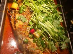 -炉鱼(萧山万象汇店)