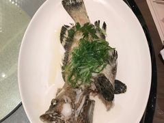 -协成海鲜火锅(海洋花园店)