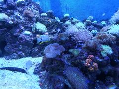 -成都浩海立方海洋公园