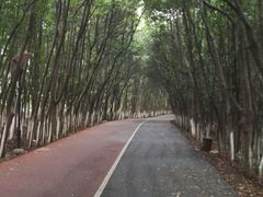 -艾溪湖湿地公园