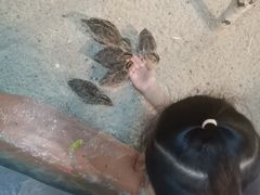 -萌宠奇缘