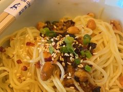 成都凉面-铁公鸡·四川料理(天环广场店)