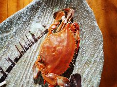 -和源祥·日照菜扛把子(万平口一店)