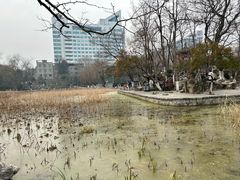 -莲湖公园
