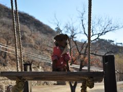 小陌同学-北京水岸山吧度假村(雁栖镇店)