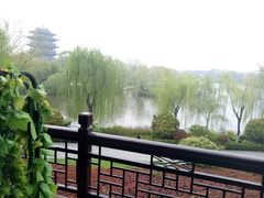 -鹊华居·地道鲁菜·海鲜·融合味(大明湖店)