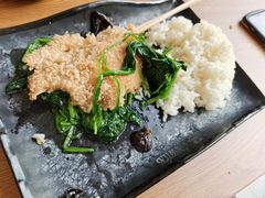鸡排饭-上海野生动物园老虎餐厅