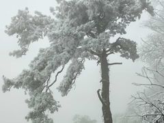 -东天目山风景区