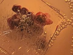 -ASPIRYNA酒吧水烟吧(太古里店)