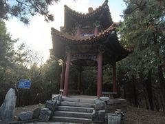 -云岗森林公园