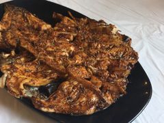 -京北渔家傲