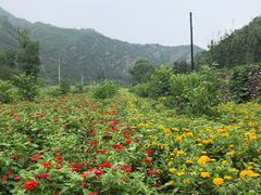 -白河湾生态旅游一条川