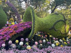 -杭州植物园