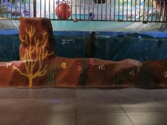 -常州海昌海洋探索馆