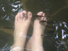 -西安国际创新人才交流中心•药浴温泉