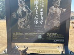 -奈良公园