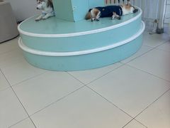 -怪兽屋·羊驼·猫咖·狗咖(俊华广场店)