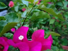 -萨莉亚意式餐厅(深圳北站店)