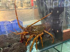 -寻味顺德·南记酒家·传统顺德菜·鱼生(广源路店)