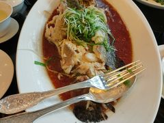 清蒸东星斑-北京四季酒店·采逸轩